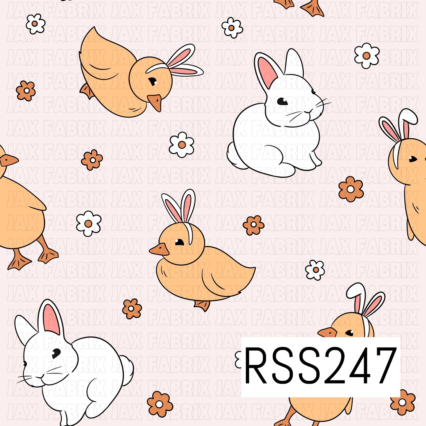 RSS247
