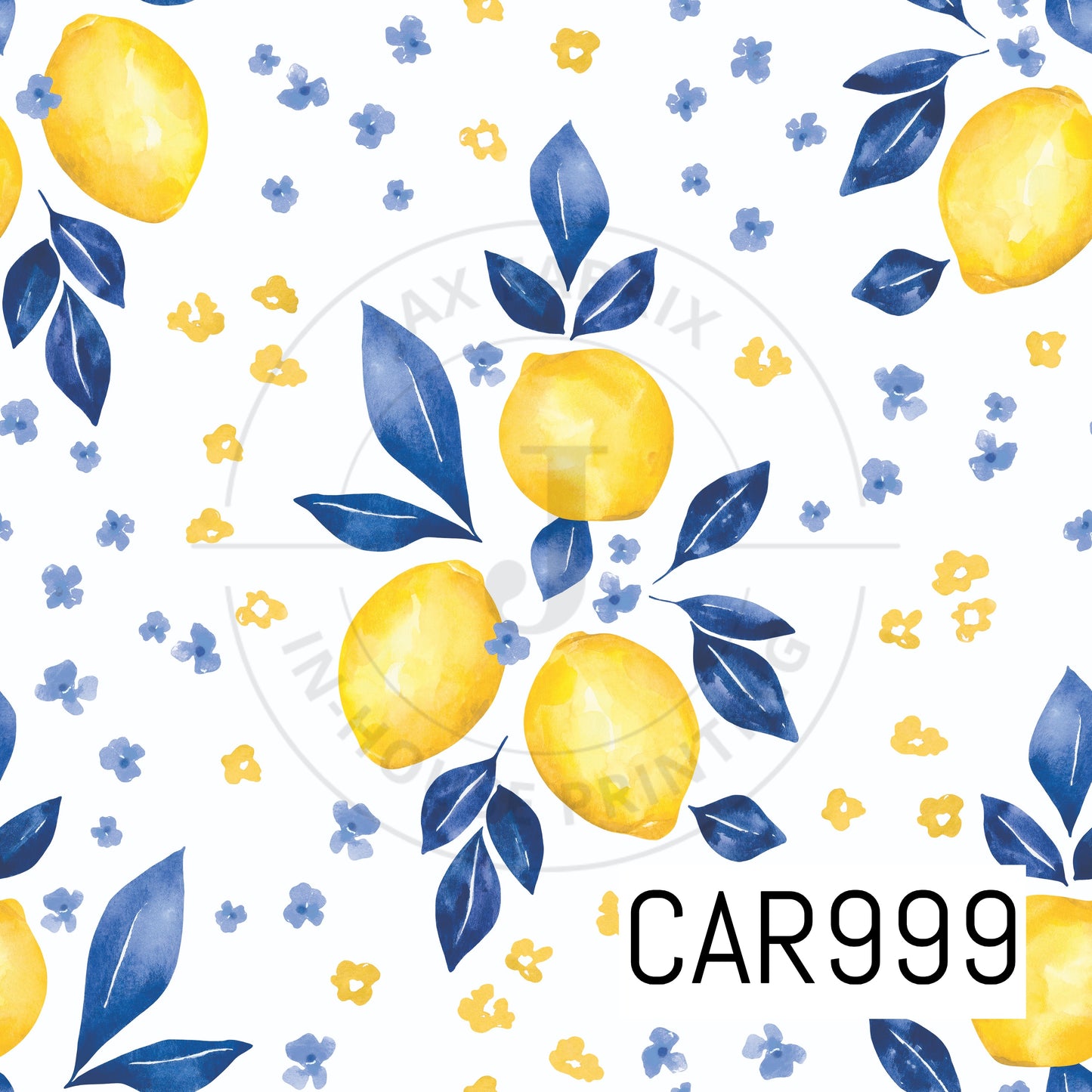 Eliza Lemons CAR999