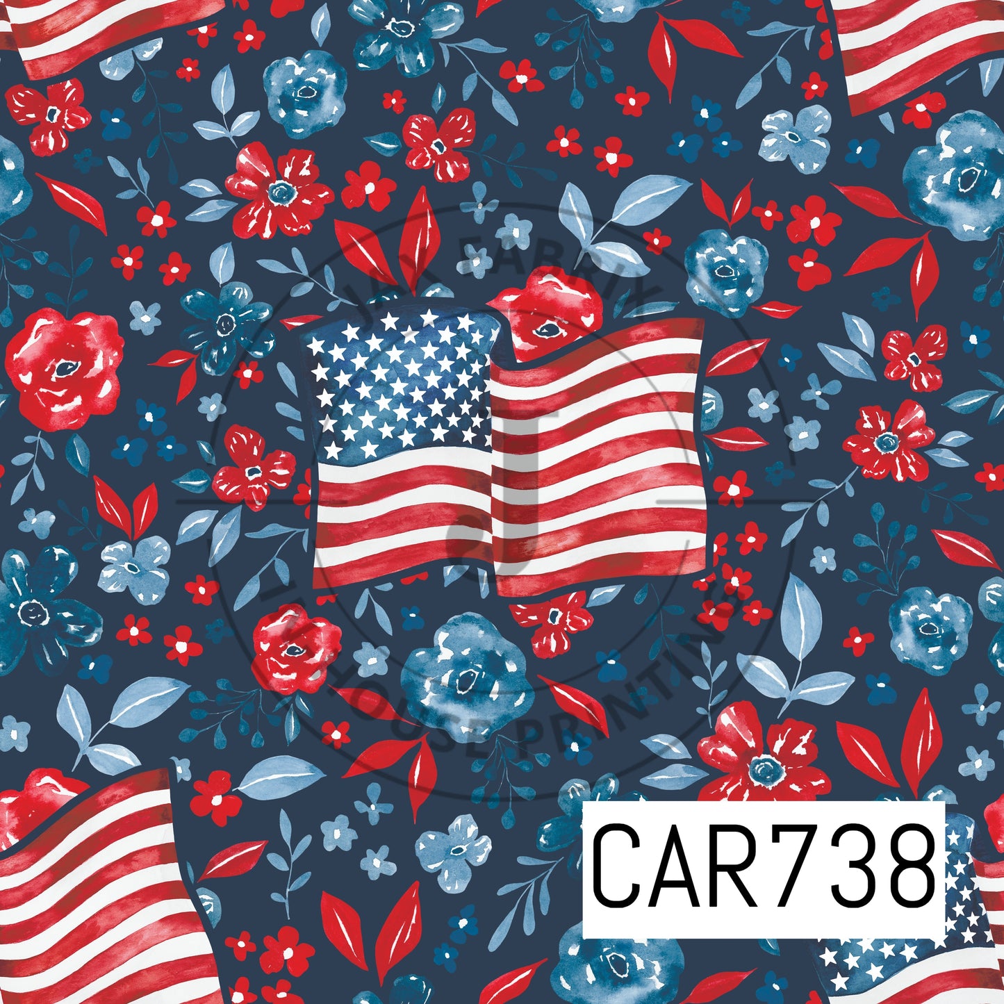 CAR738