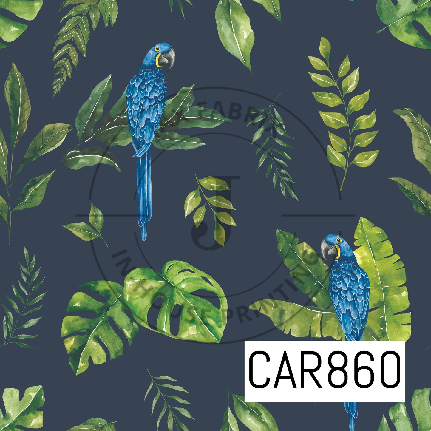 Tropical Jungle Macaw CAR860