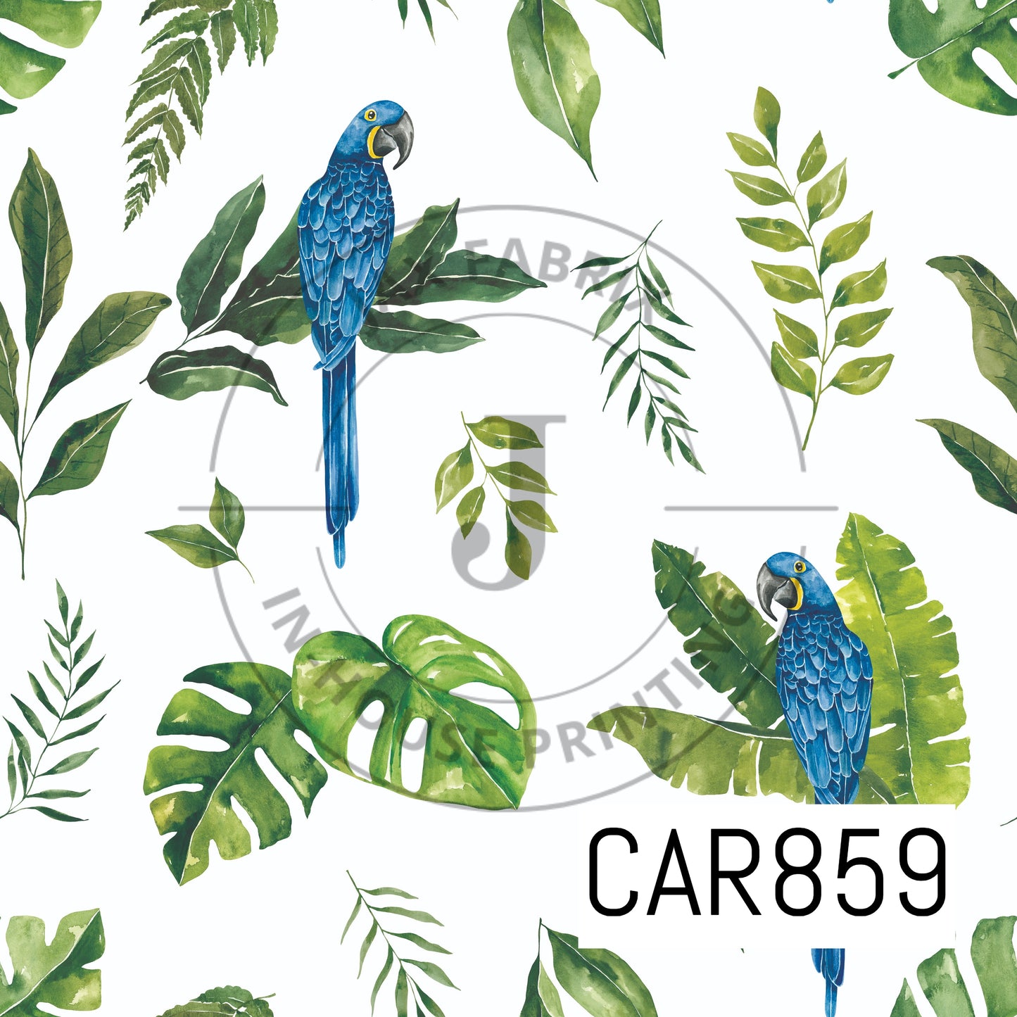 Tropical Jungle Macaw CAR859