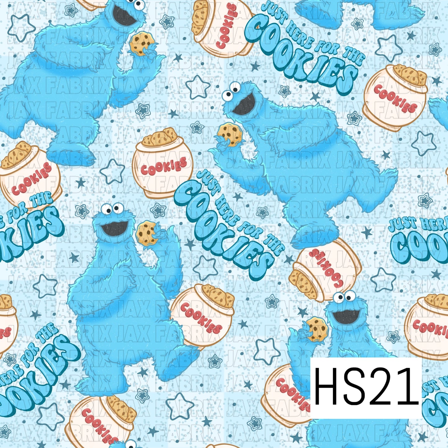 HS21