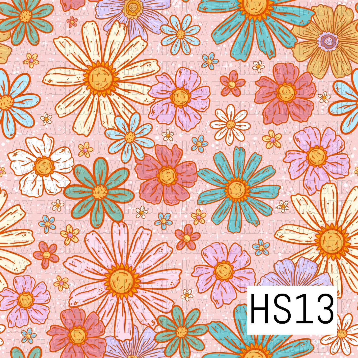 HS13