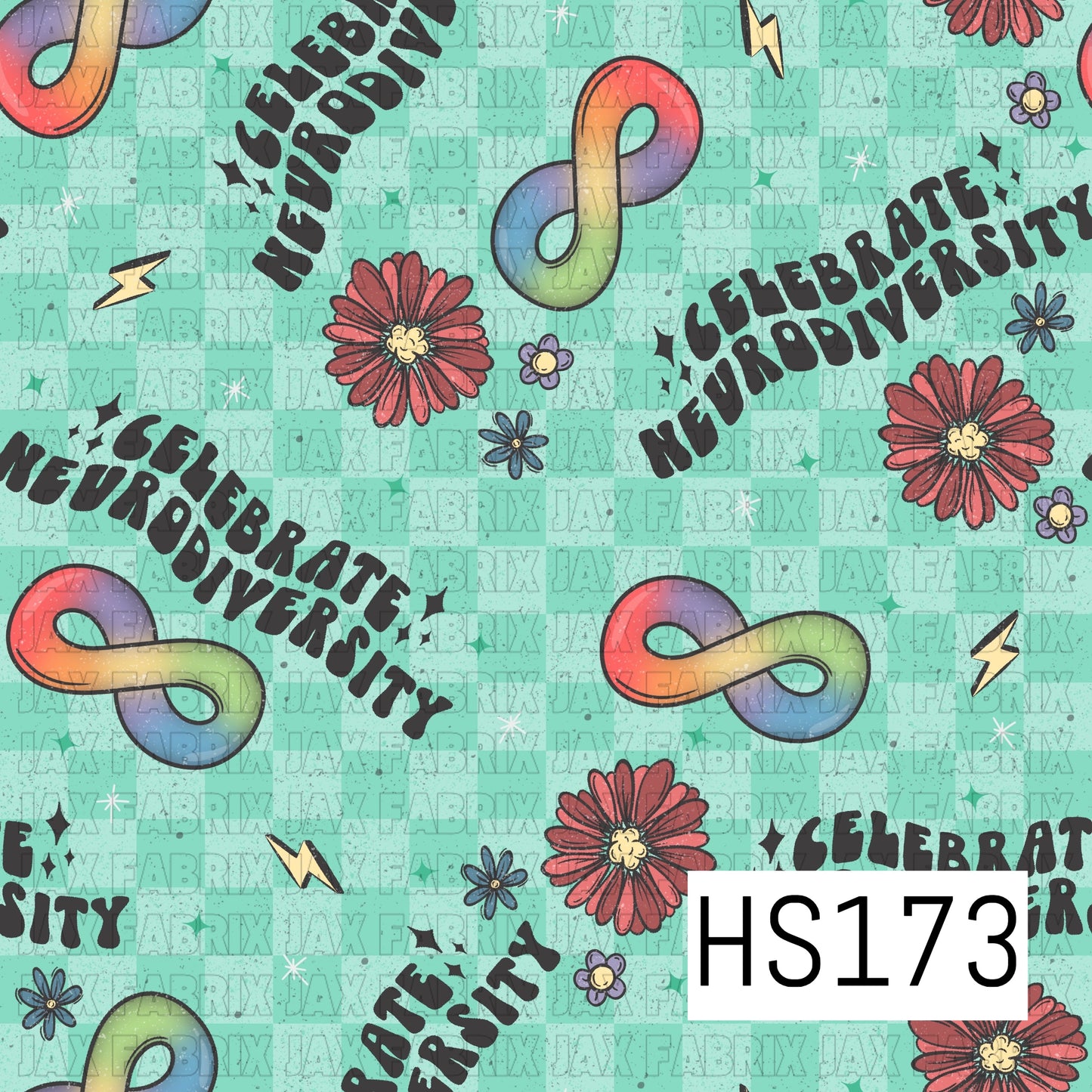 HS173
