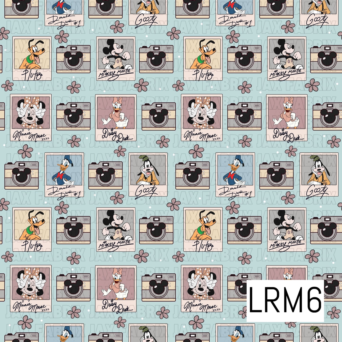 LRM6