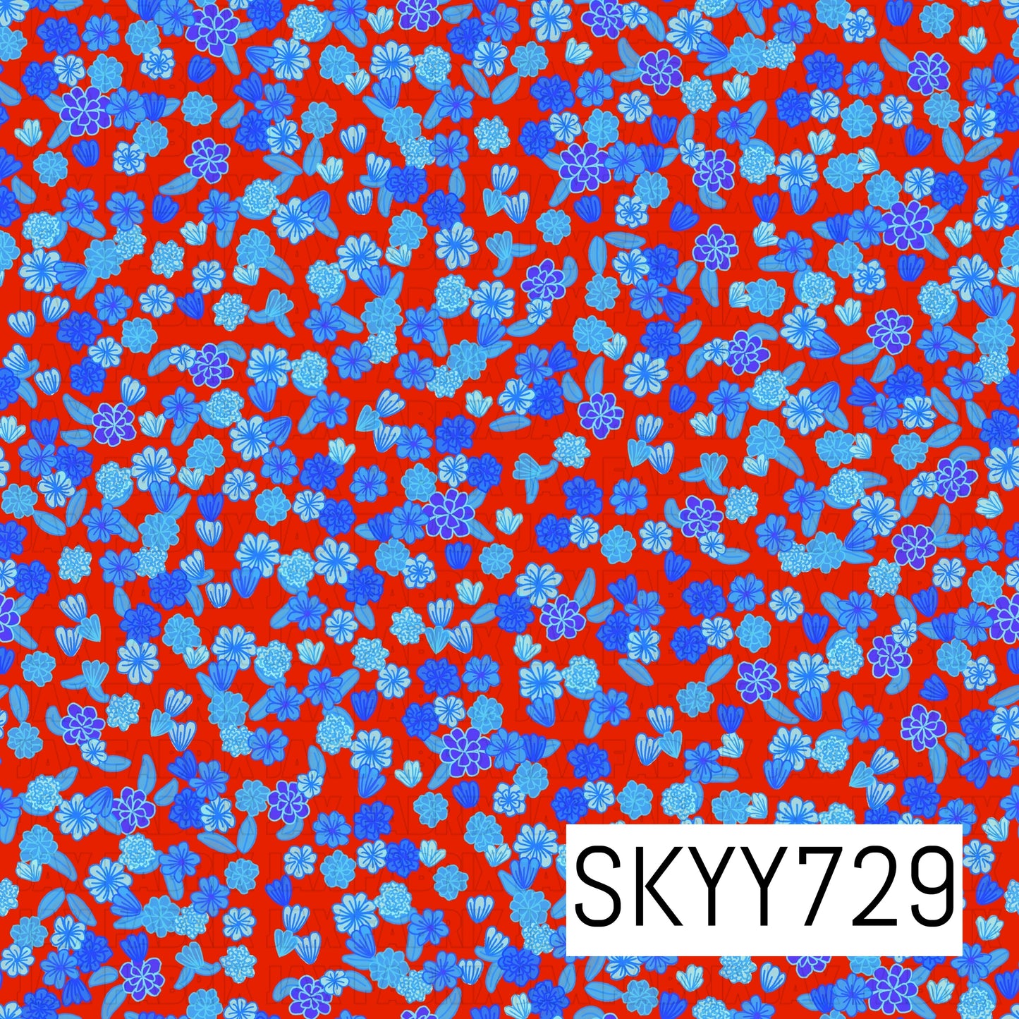 SKYY729