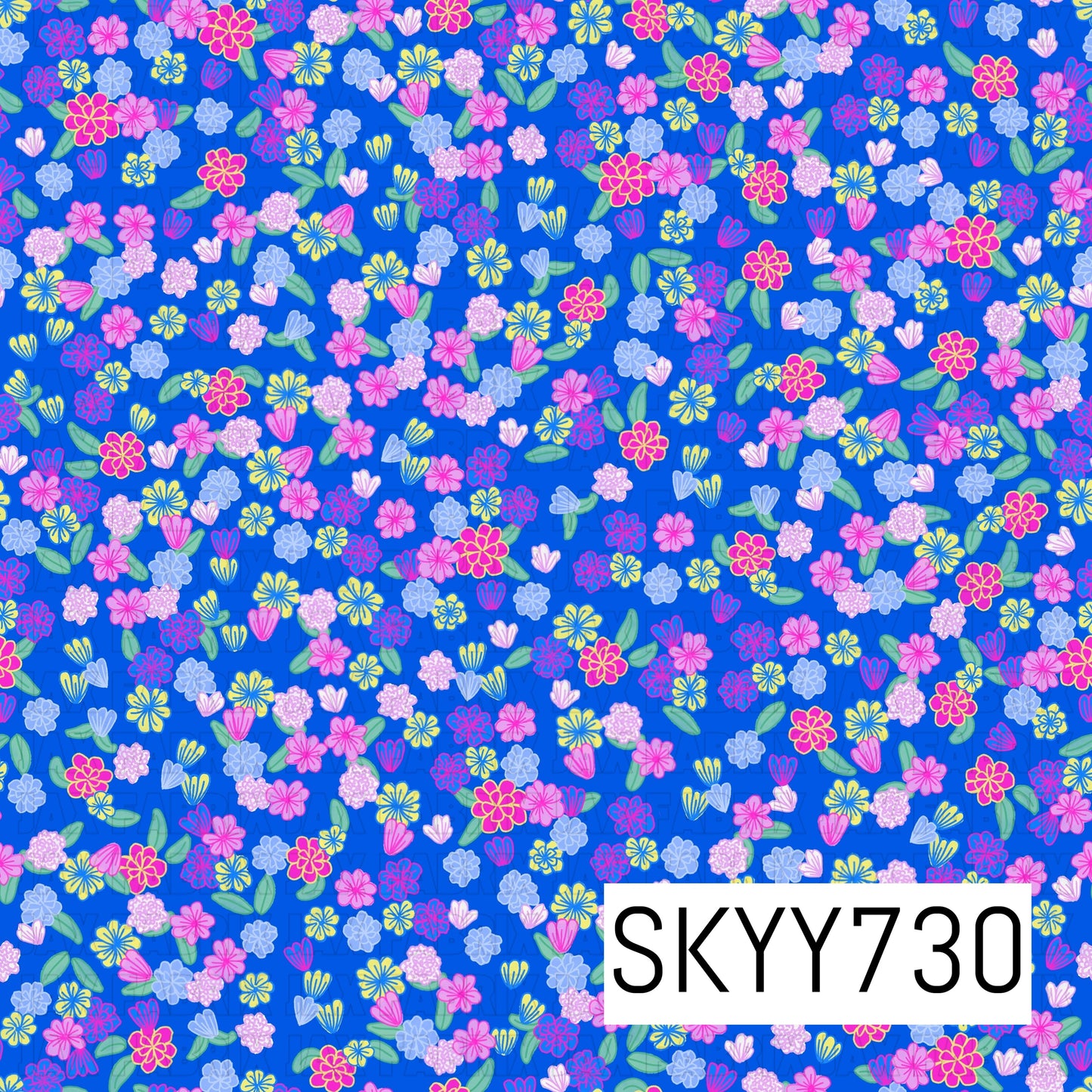 SKYY730
