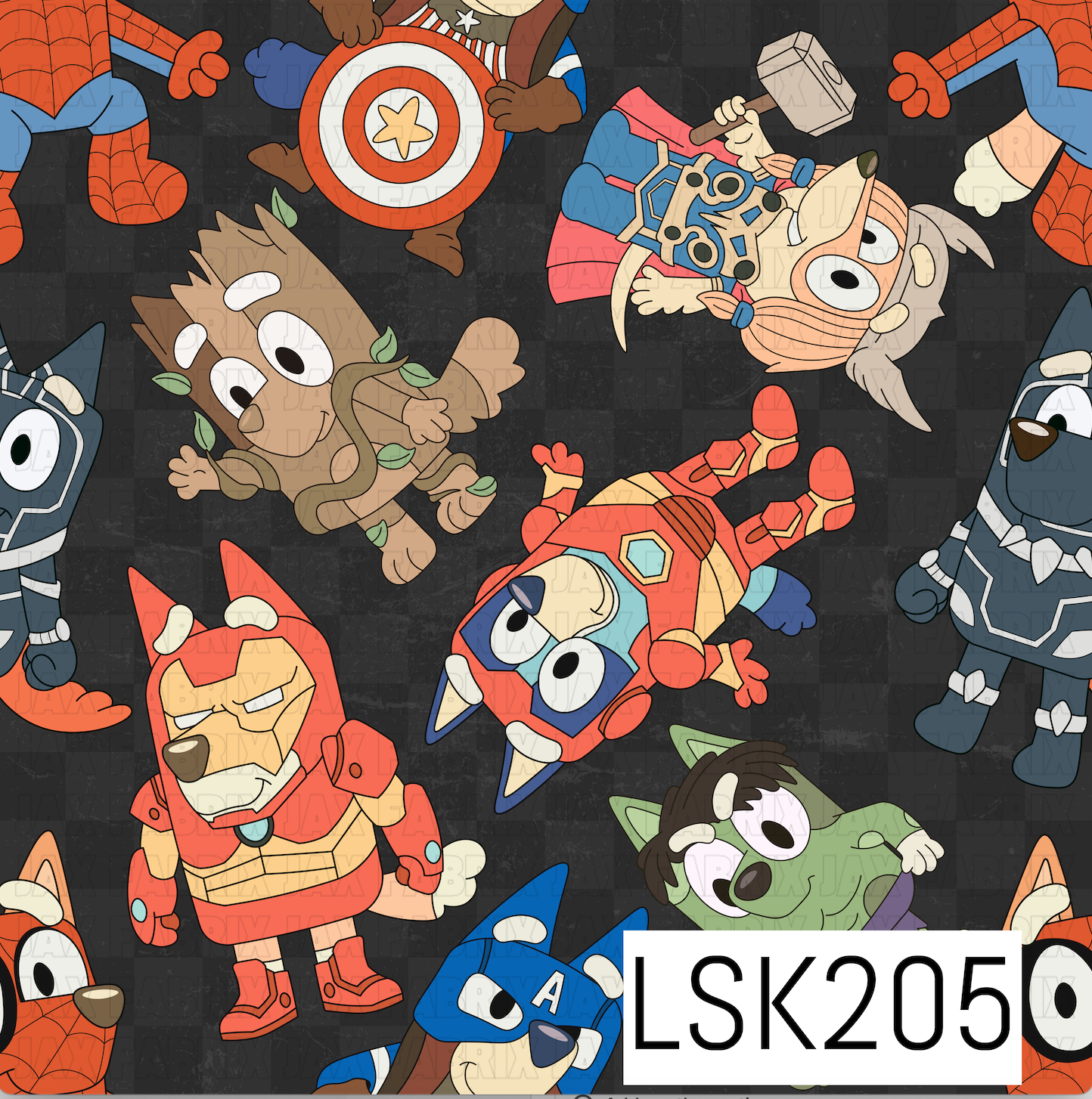 LSK205