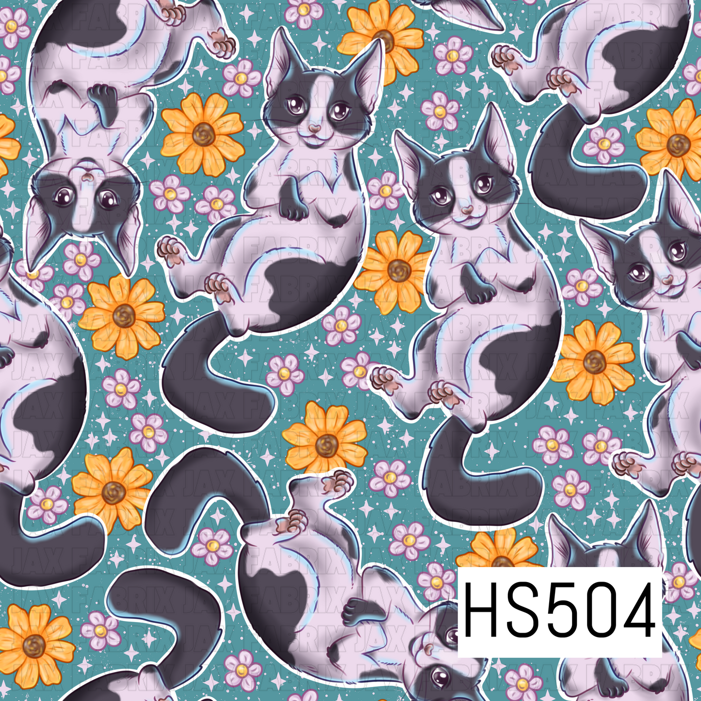 HS504