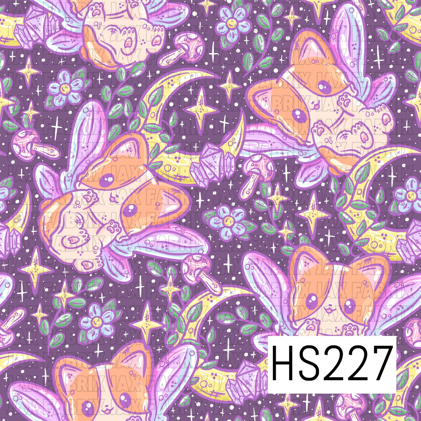 HS227
