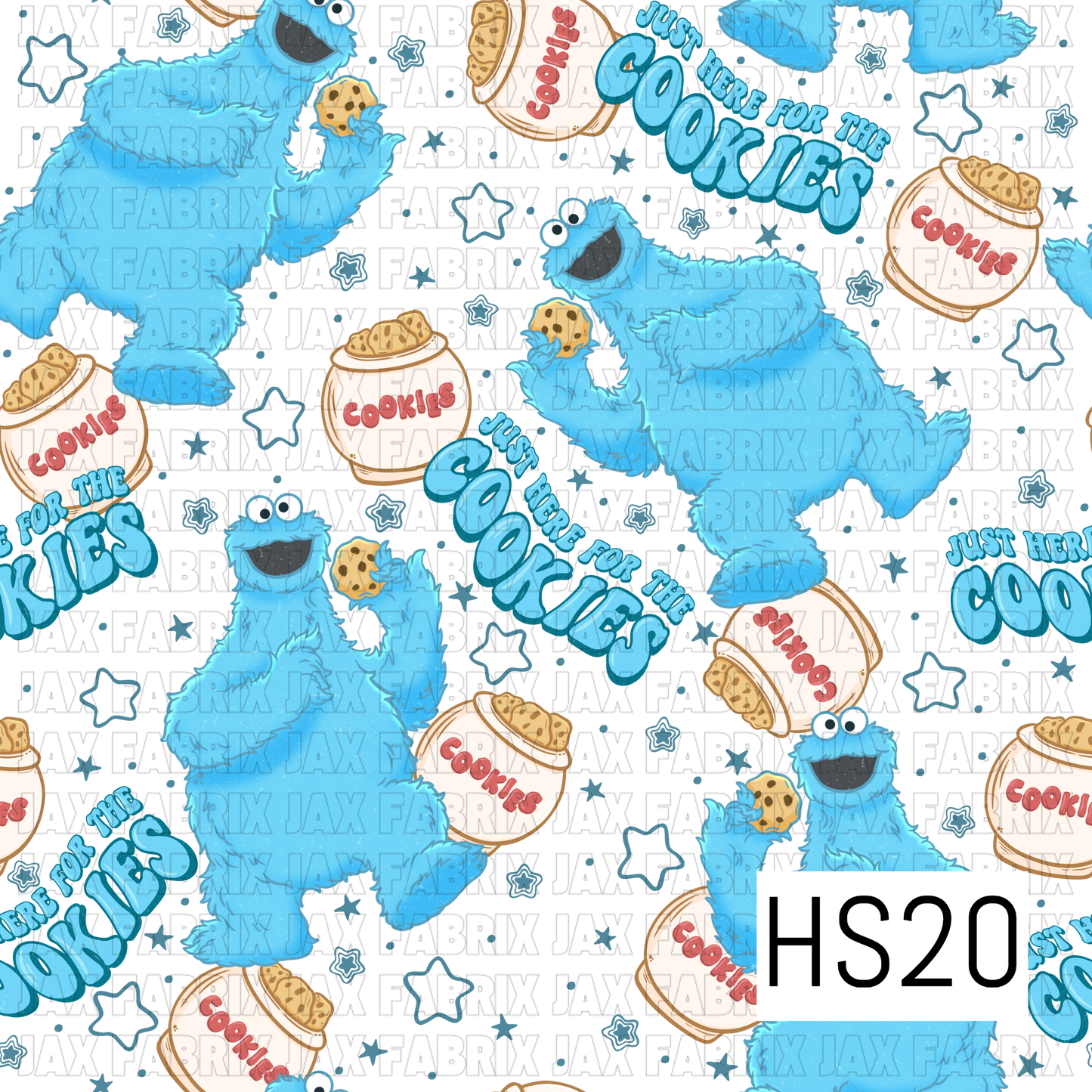 HS20