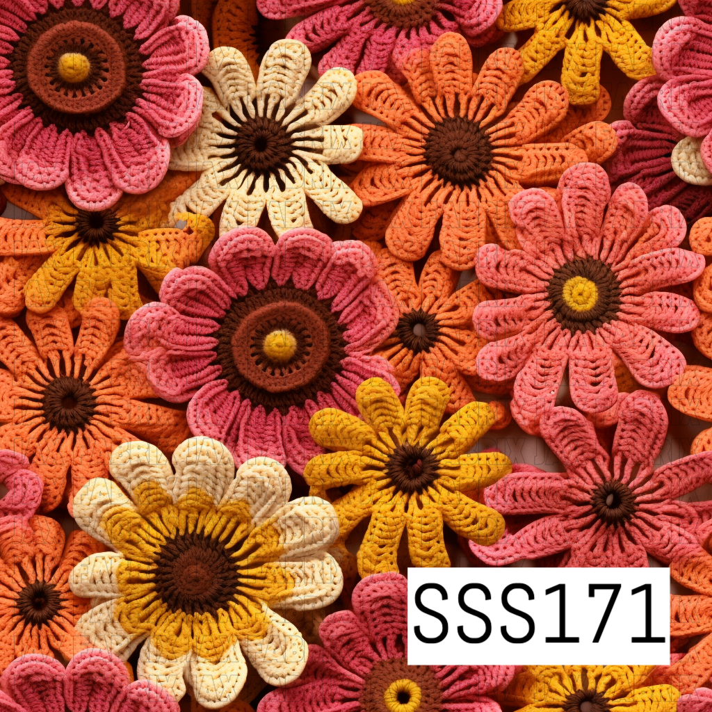 SSS171