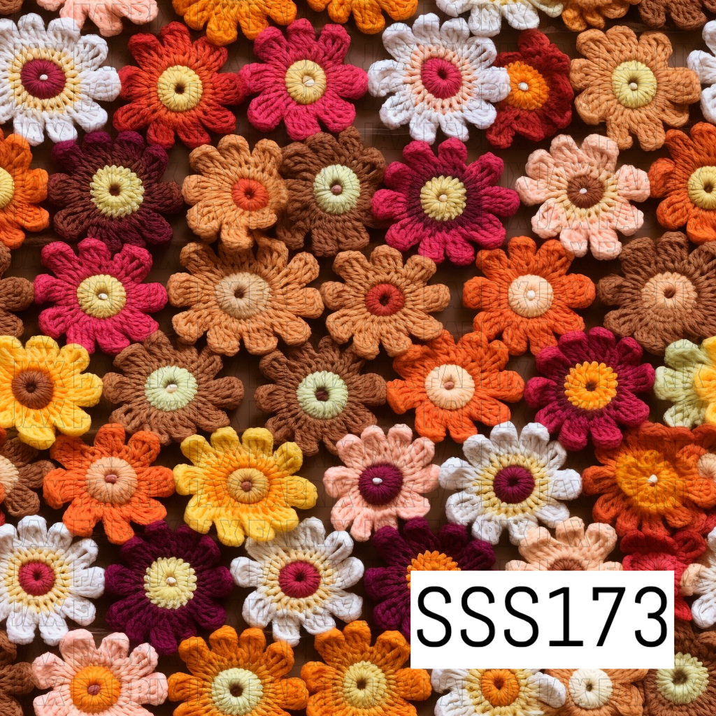 SSS173
