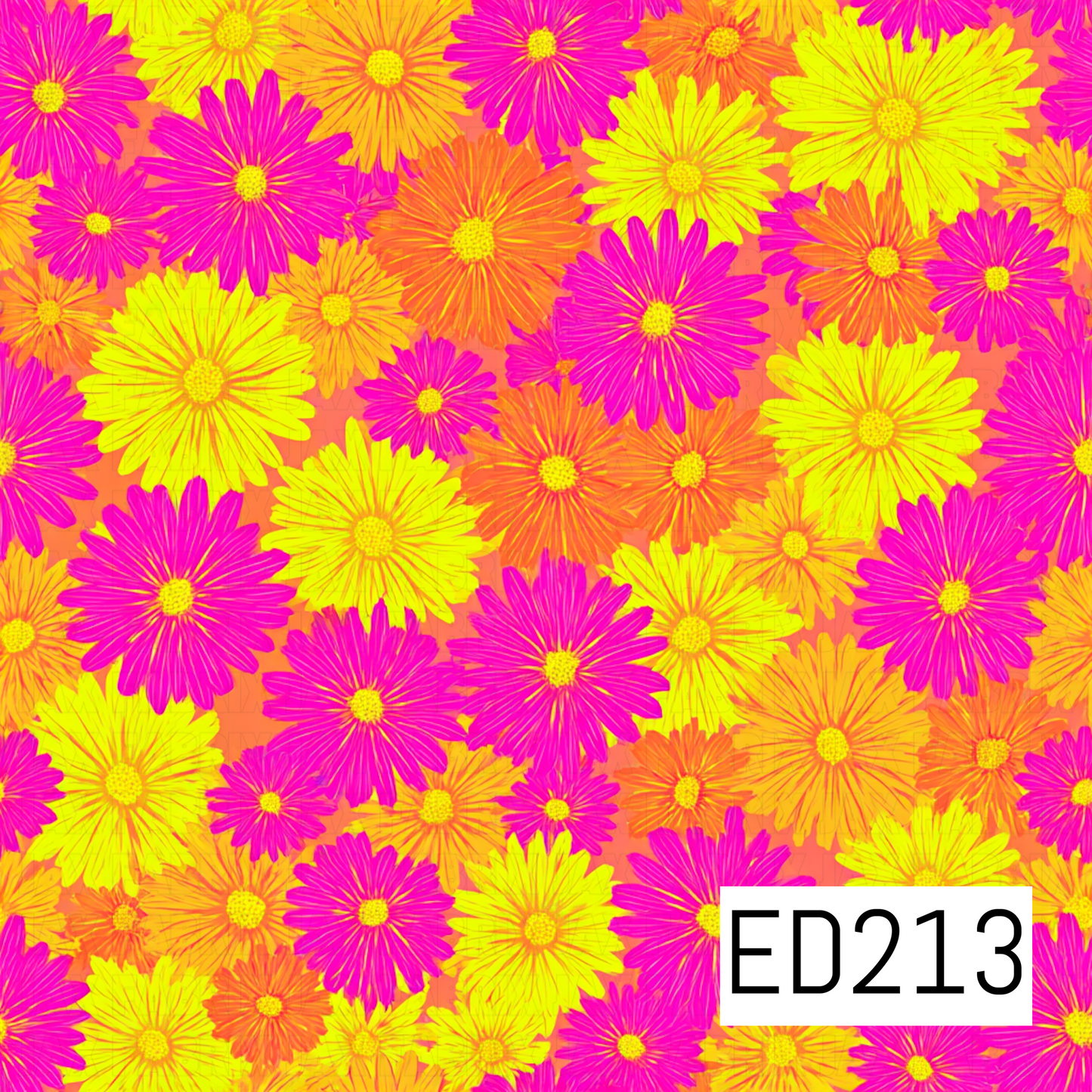 ED213
