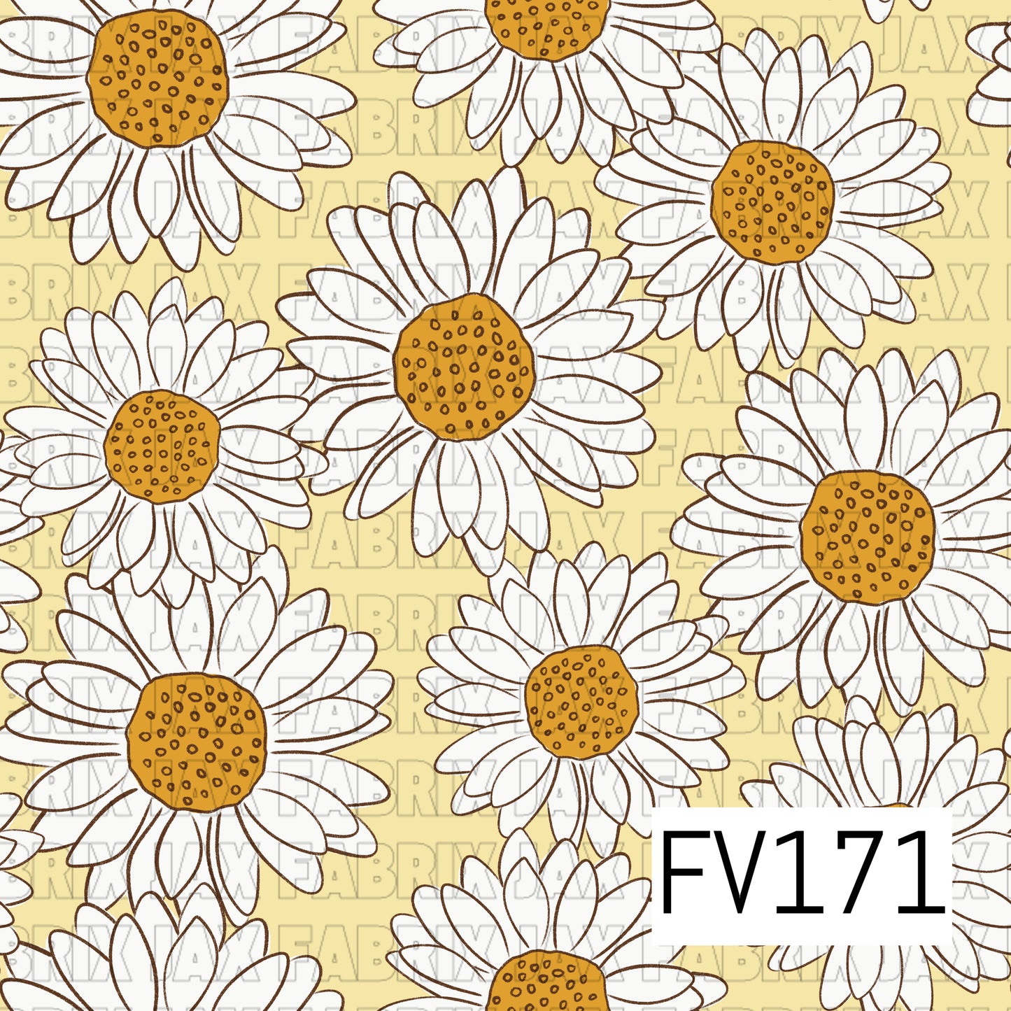 FV171