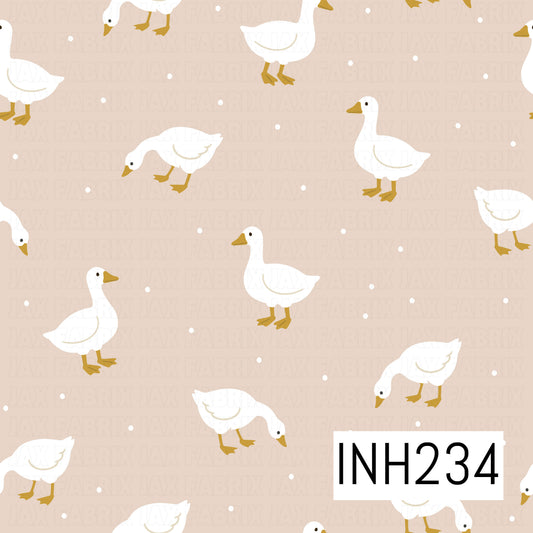 INH234