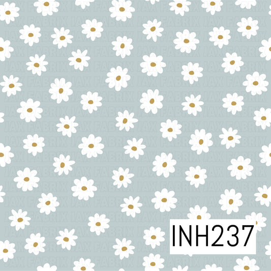 INH237