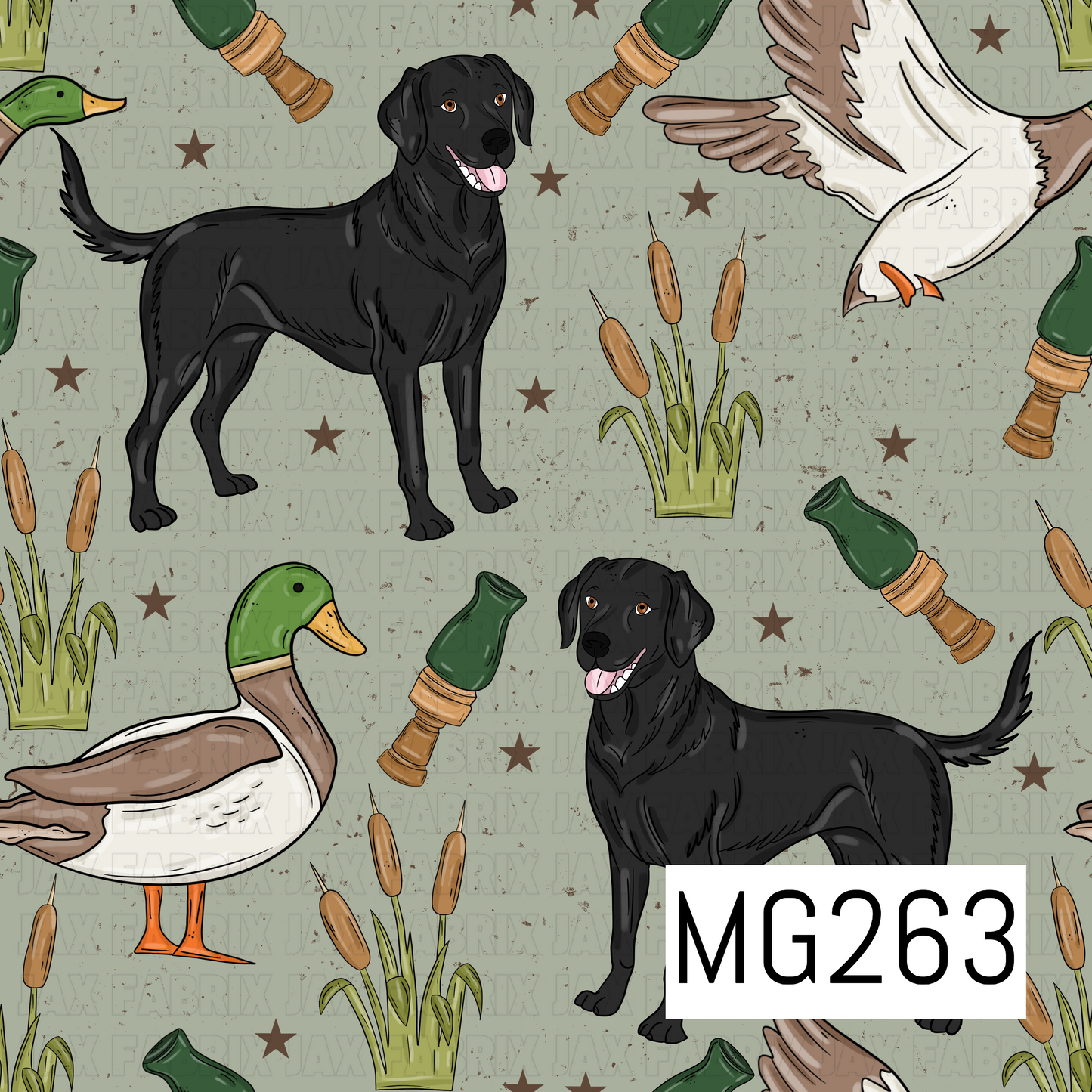 MG263