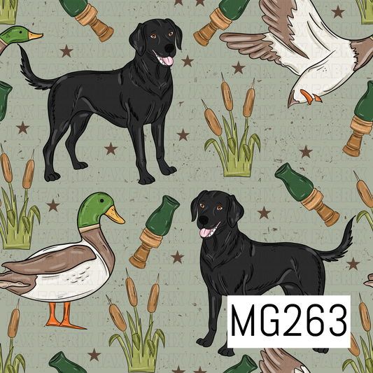 MG263