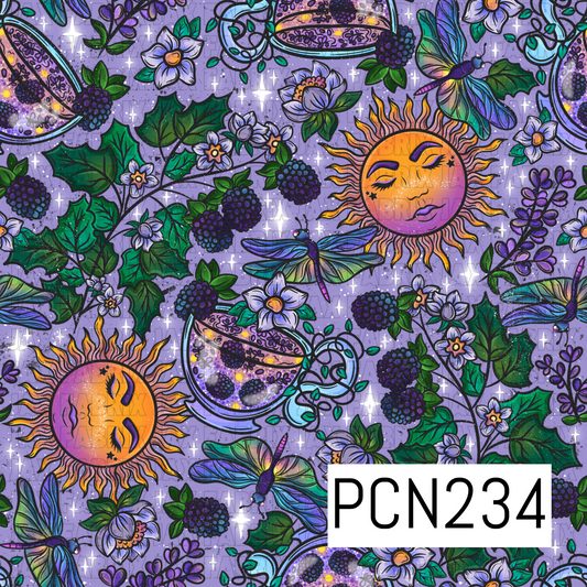 PCN234