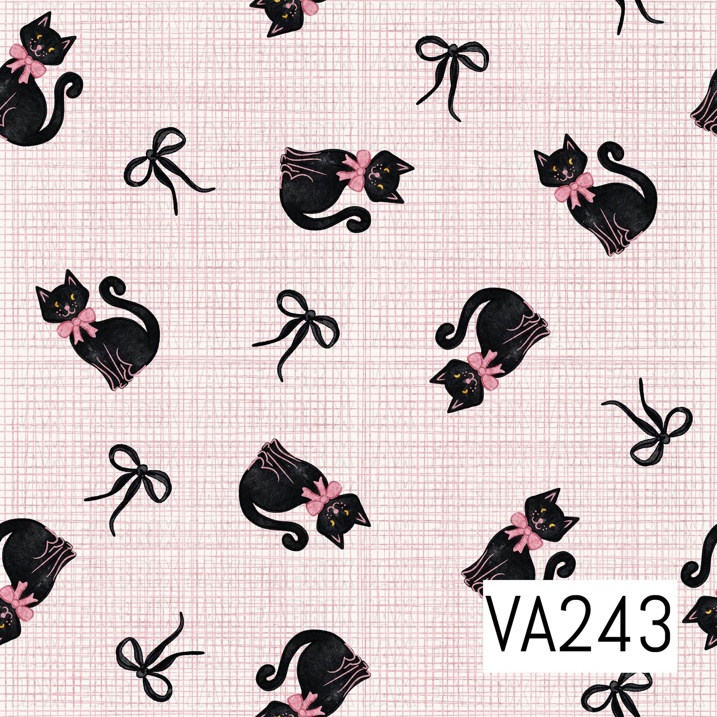 VA243