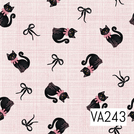VA243