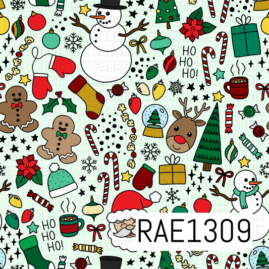 RAE1309