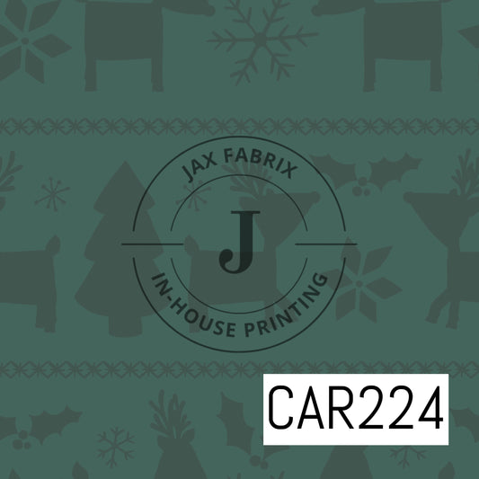 Cozy Christmas Green CAR224