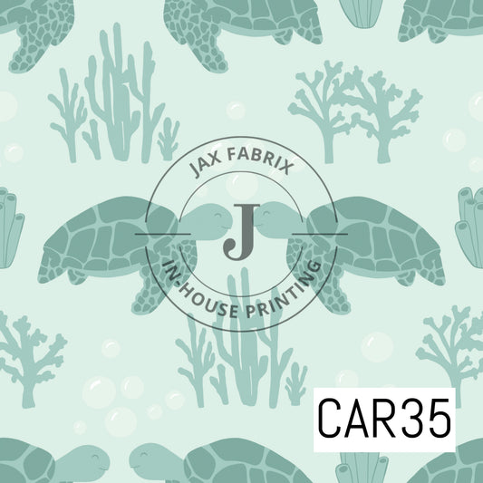 Mermaid Muse Sea Turtles CAR35
