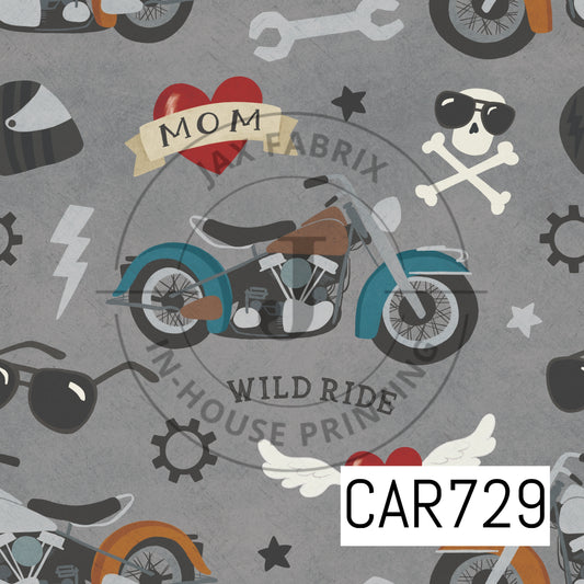 Wild Ride CAR729