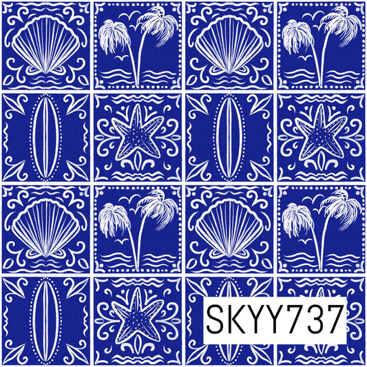 SKYY737