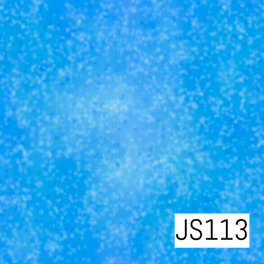 JS113