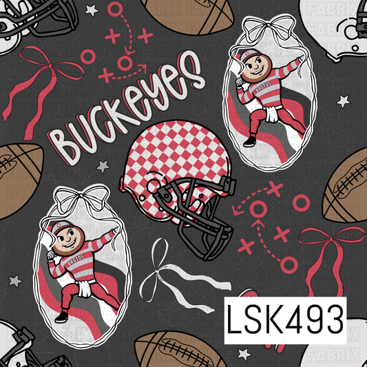 LSK493
