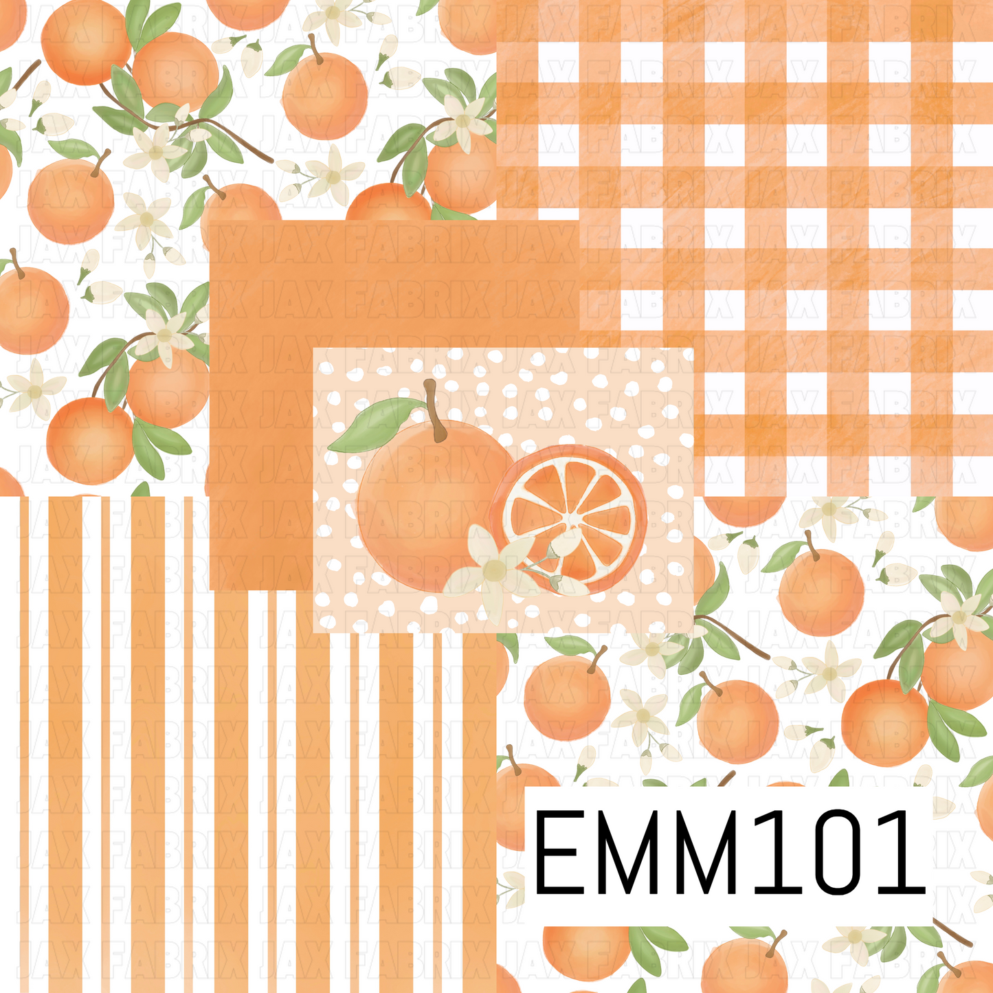 EMM101