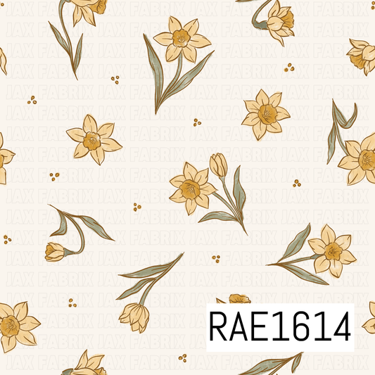 RAE1614