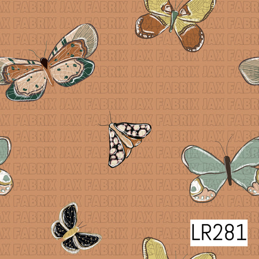 LR281