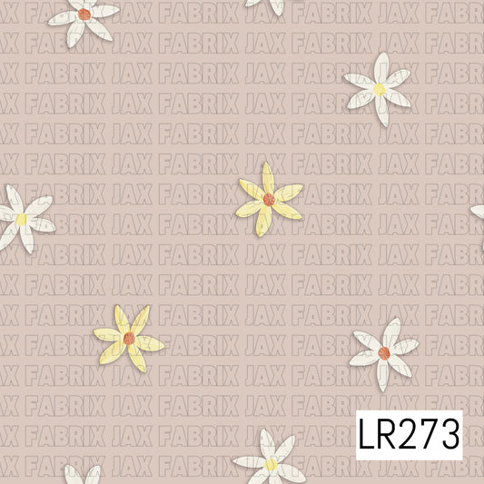 LR273