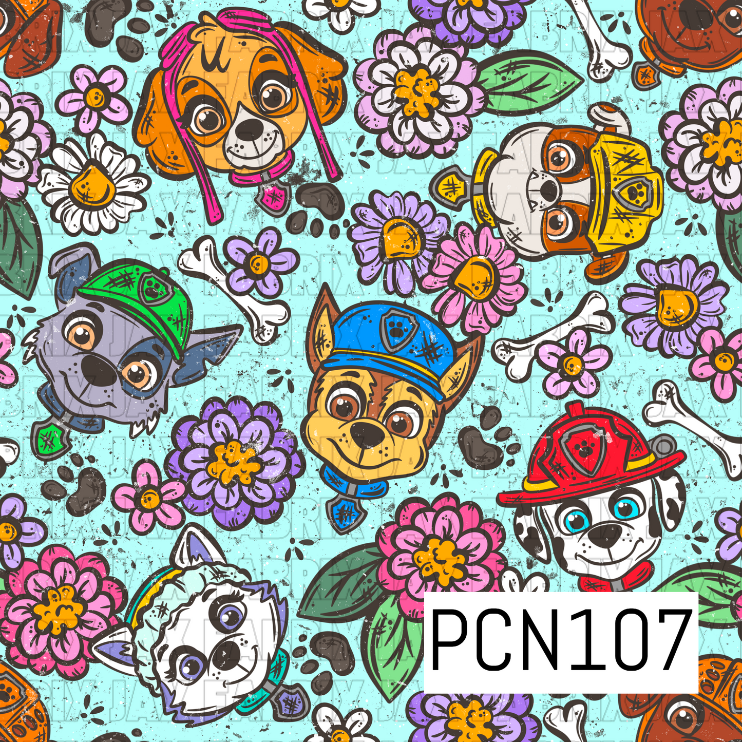 PCN107