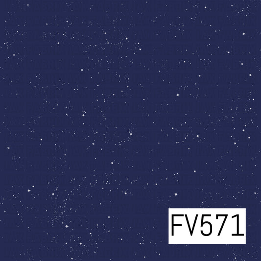 FV571