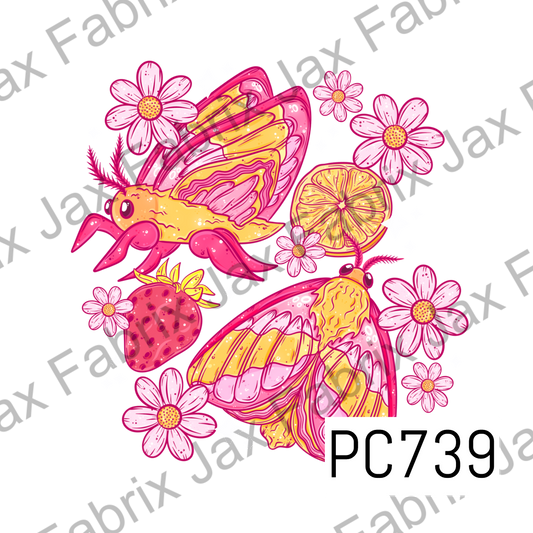 Fruity Maple Moth PNG PC739