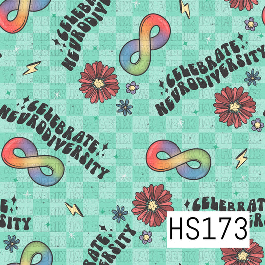 HS173