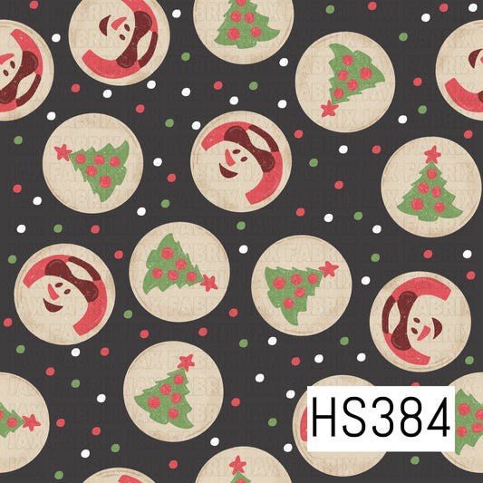 HS384