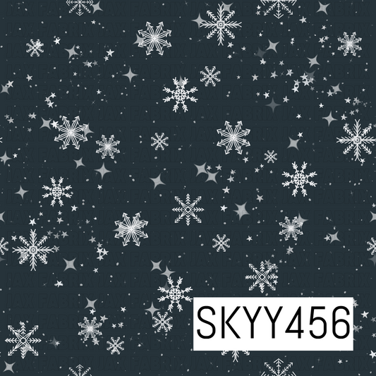 SKYY456