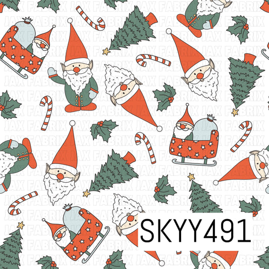 SKYY491