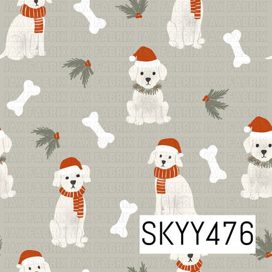 SKYY476