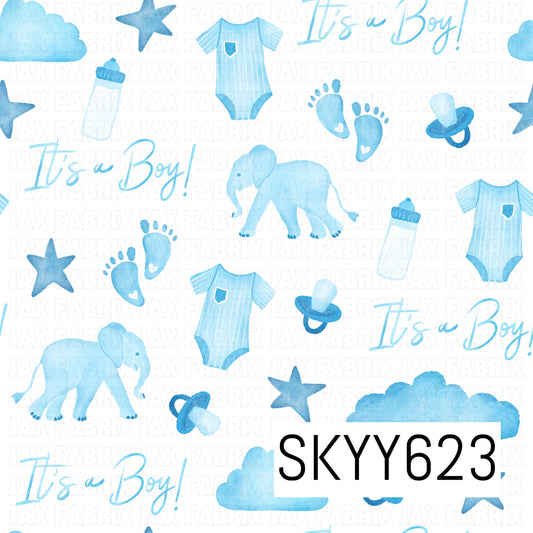 SKYY623