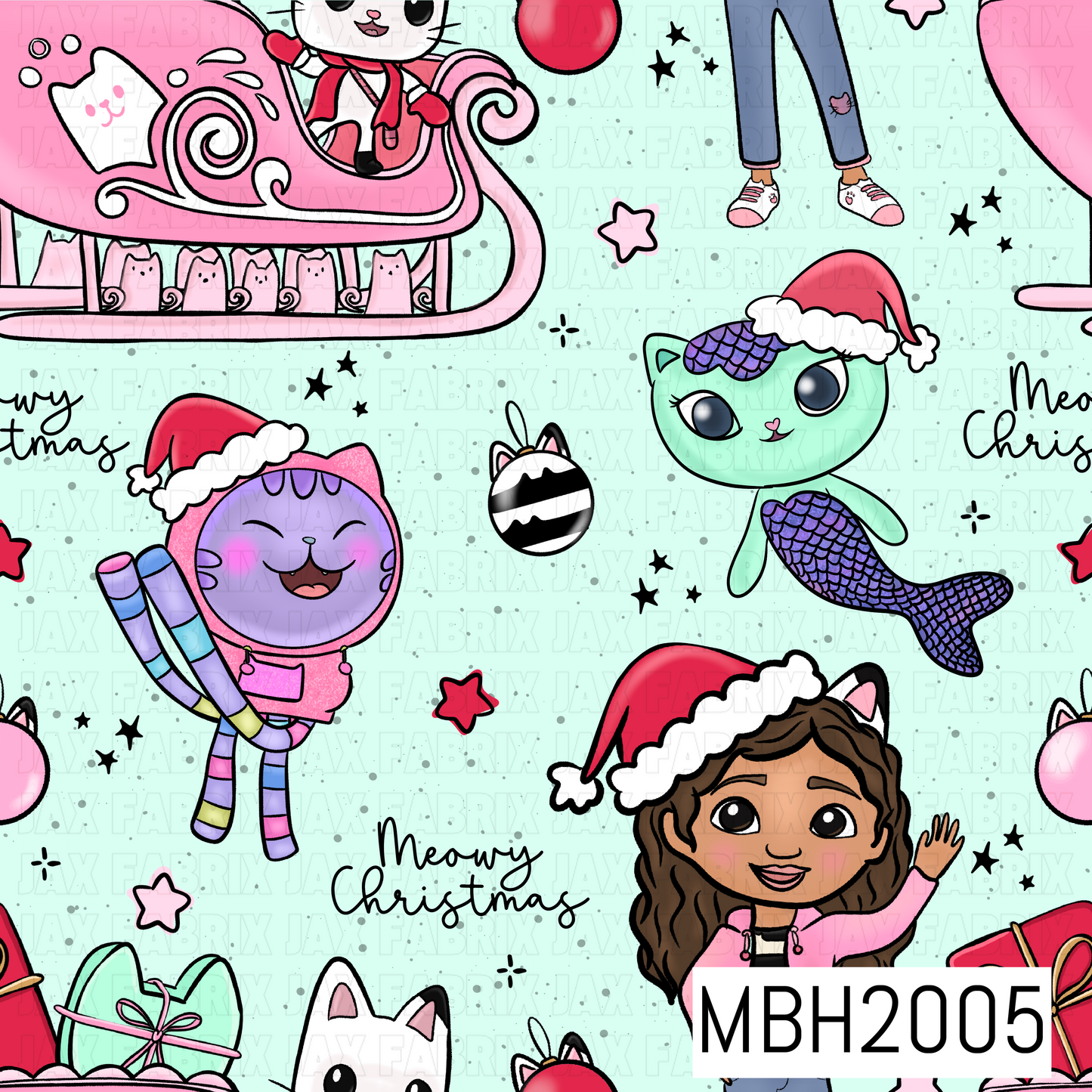 MBH2005
