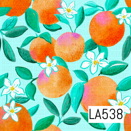LA538