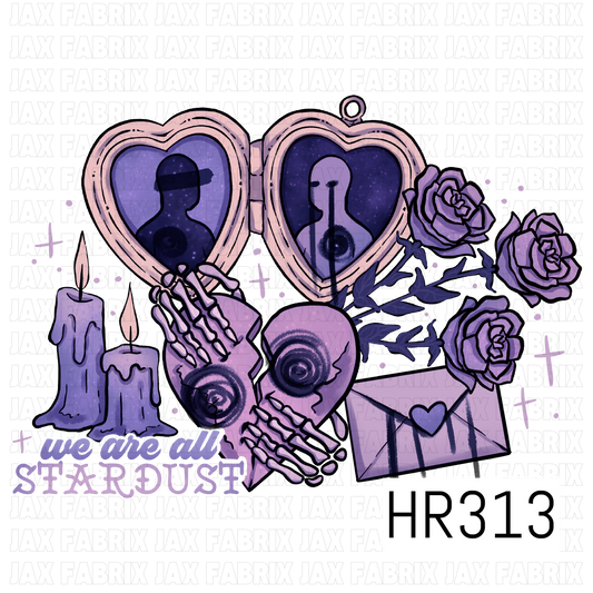 HR313 png