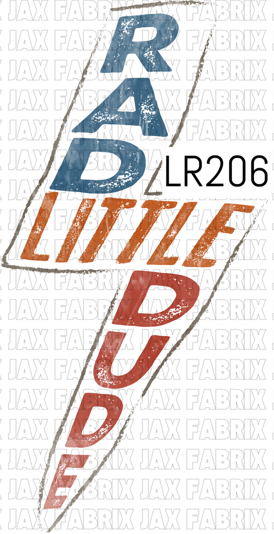 LR206